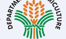 国产区资源,探索本土影视、音乐、游戏魅力之旅